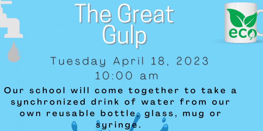 The Great Gulp Eco Challenge