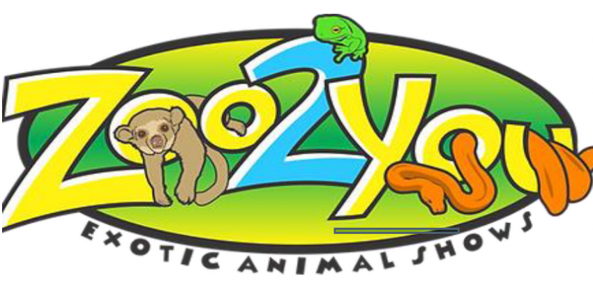 Zoo to You